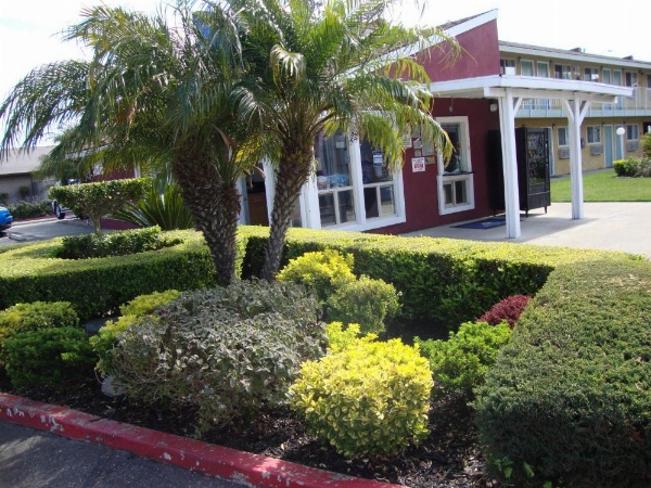 Oasis Inn Sacramento- Elk Grove image 14