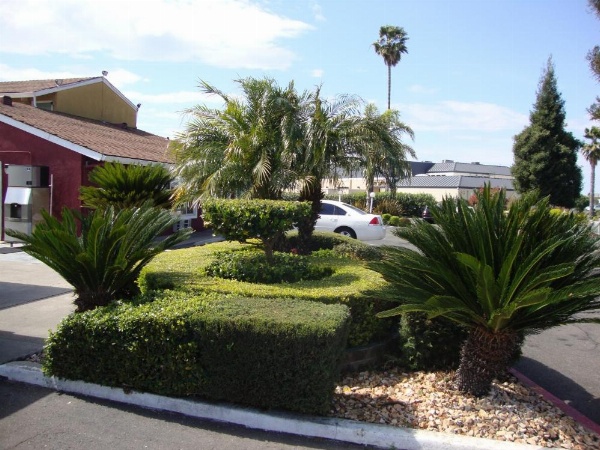 Oasis Inn Sacramento- Elk Grove image 16